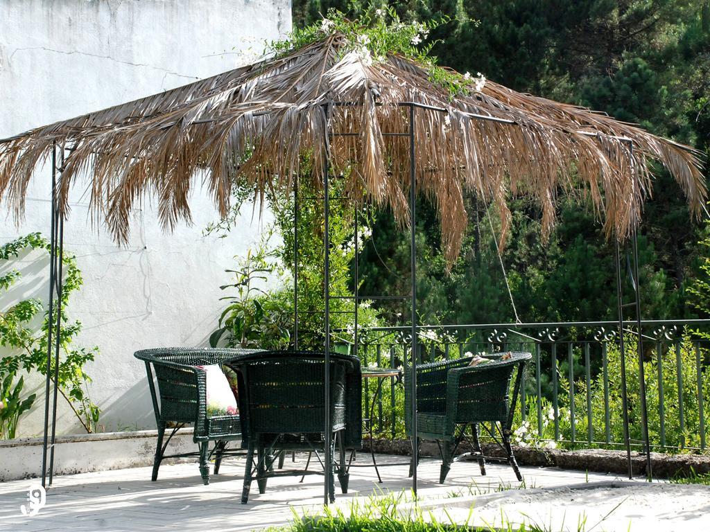 Gasthaus Quinta Dos Barbas Oliveira do Hospital Exterior foto