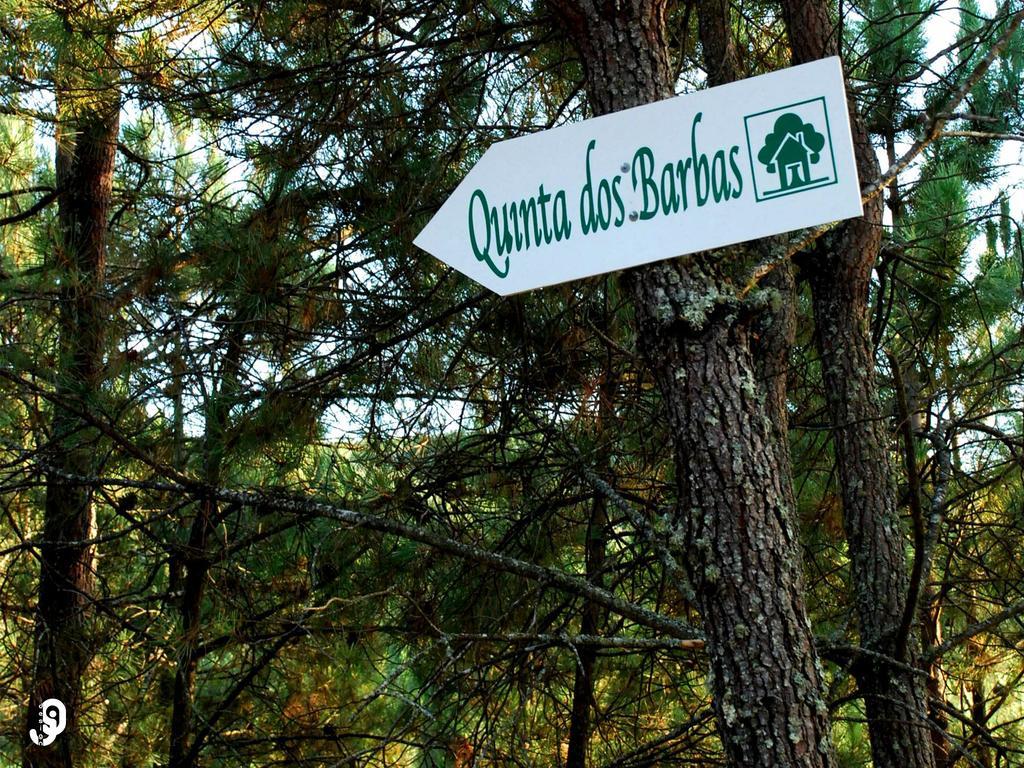 Gasthaus Quinta Dos Barbas Oliveira do Hospital Exterior foto